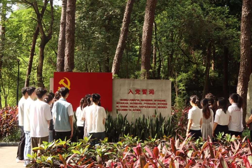 公司党委组织开展七一入党宣誓活动