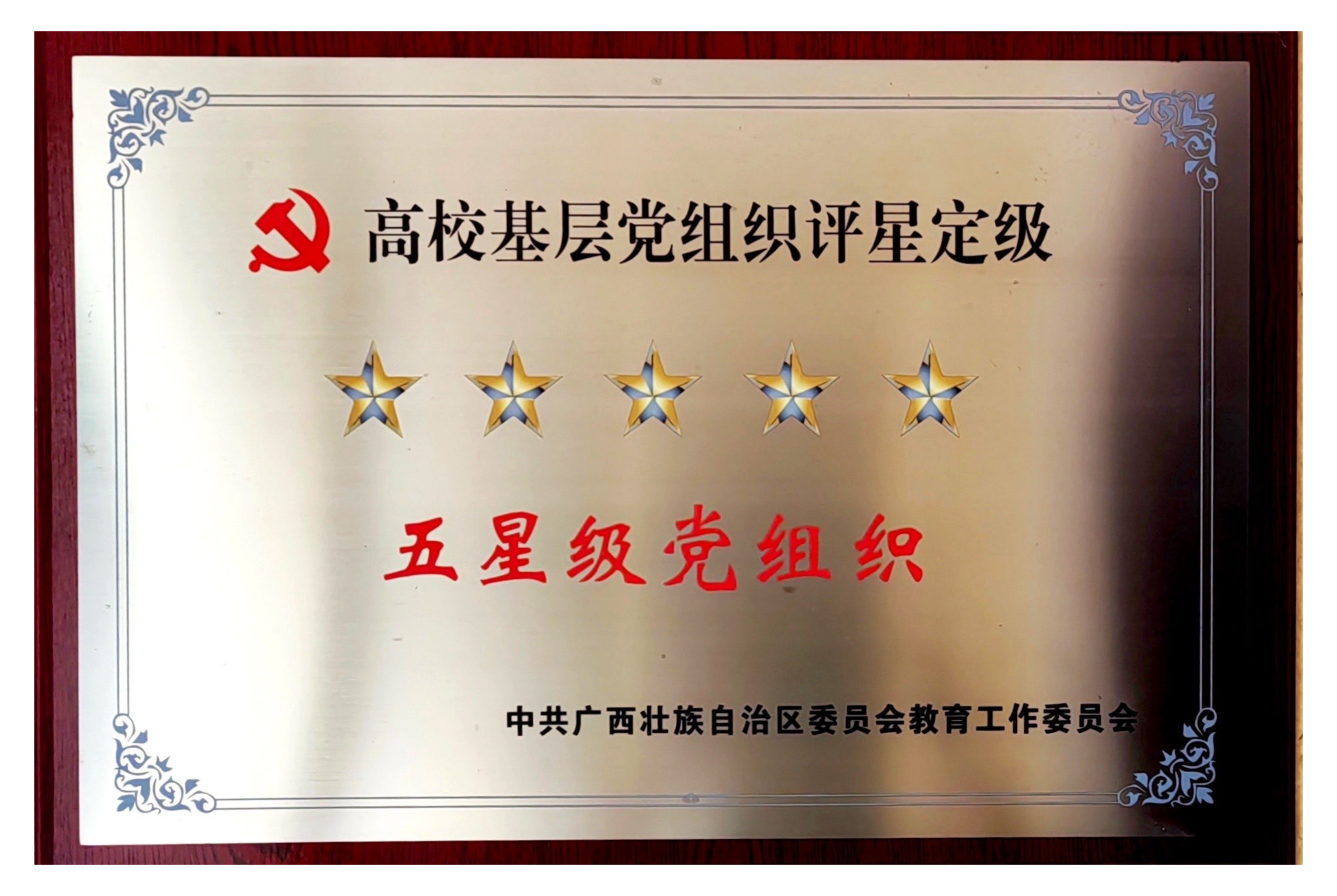 高校基层党组织评定星级——五星级党组织